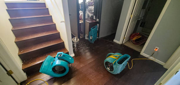 Best Water damage restoration near me  in Somerville, TX