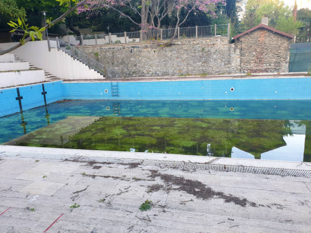 Best Flood restoration services  in Somerville, TX