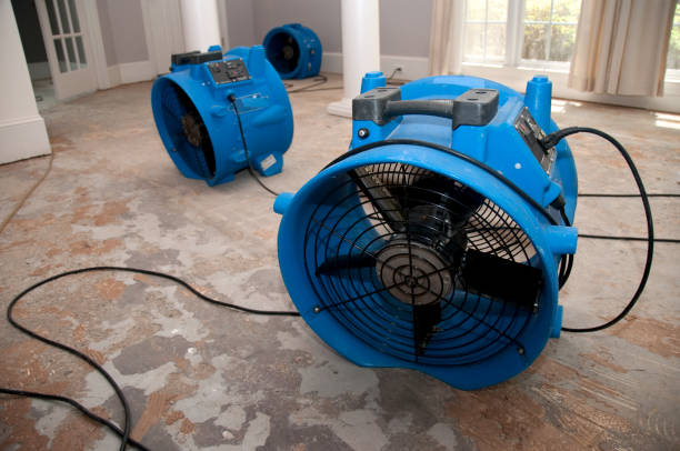 Carpet water damage restoration in Somerville, TX