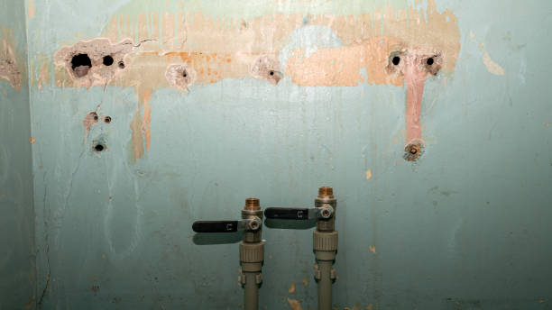 Best Fire Damage Restoration  in Somerville, TX