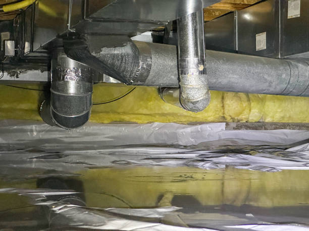 Best Basement water damage restoration  in Somerville, TX