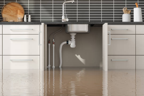 Best Commercial water damage restoration  in Somerville, TX