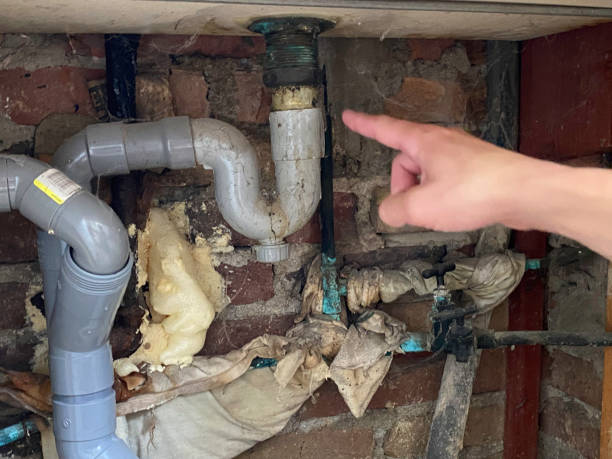 Best Water damage cleanup near me  in Somerville, TX