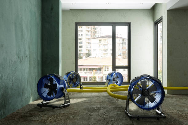 Best Local water damage restoration  in Somerville, TX